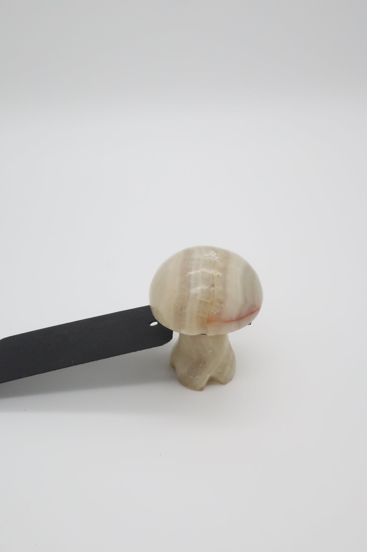 Marble Mushroom