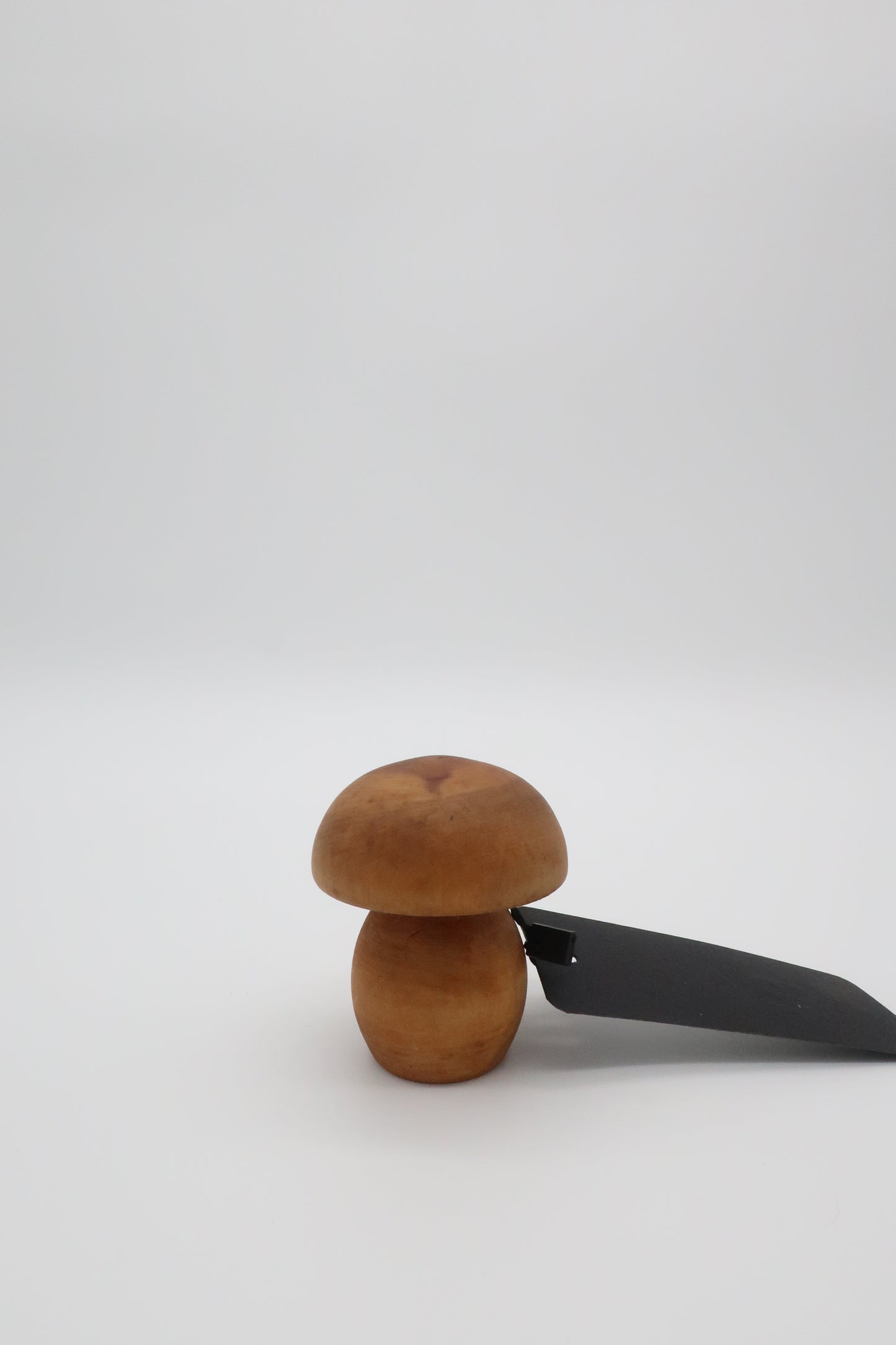 Wooden Mushroom