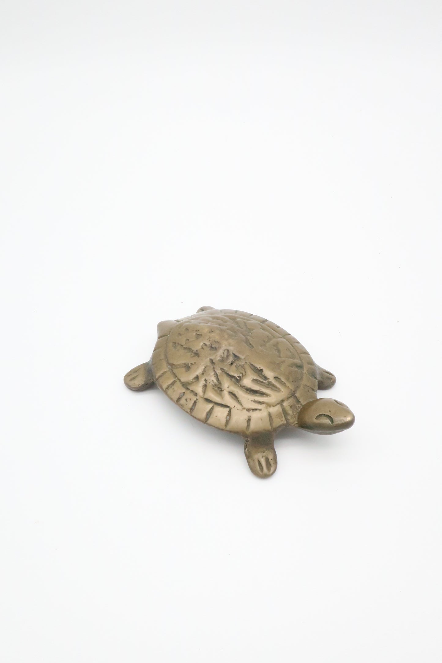 Brass Turtle