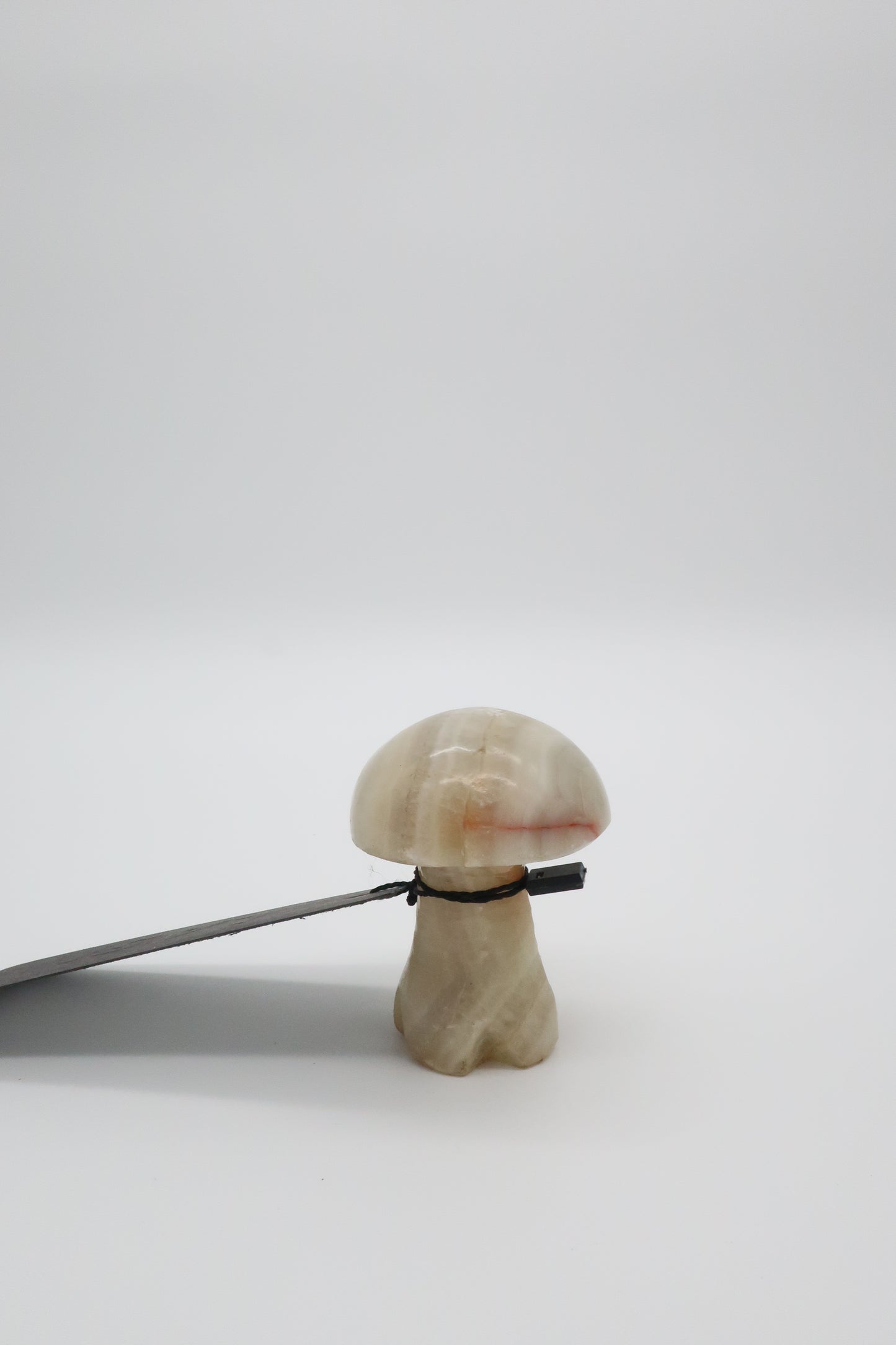 Marble Mushroom