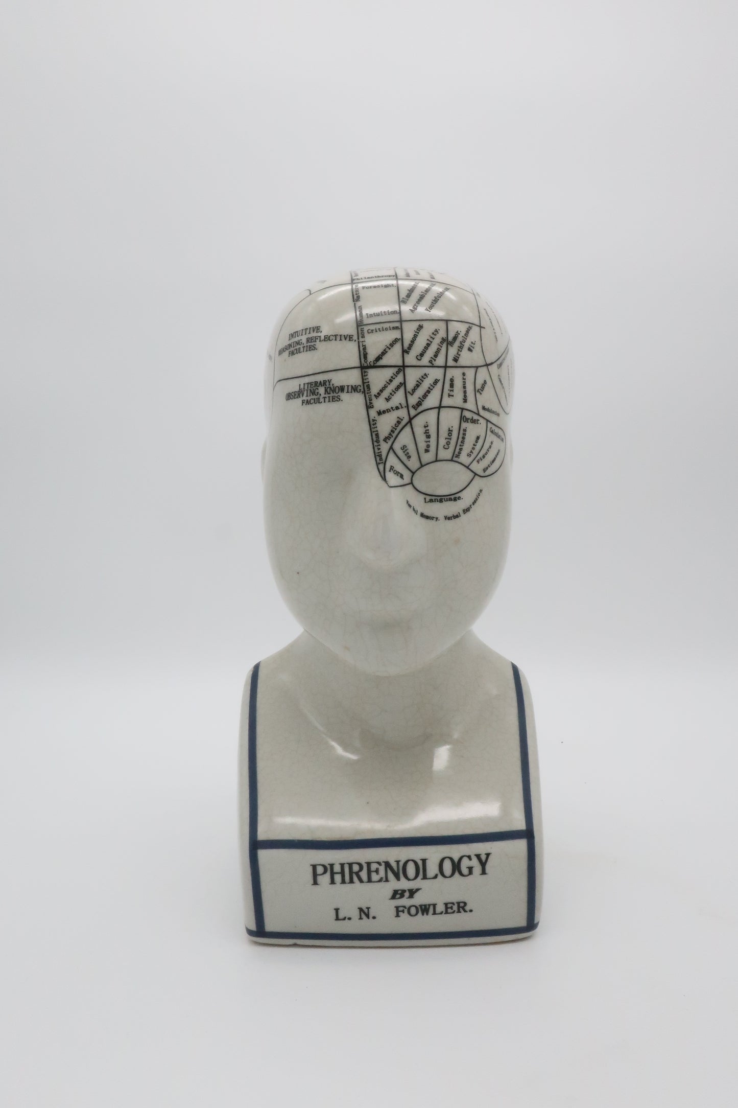 Phrenology L.N. Fowler Head Bust