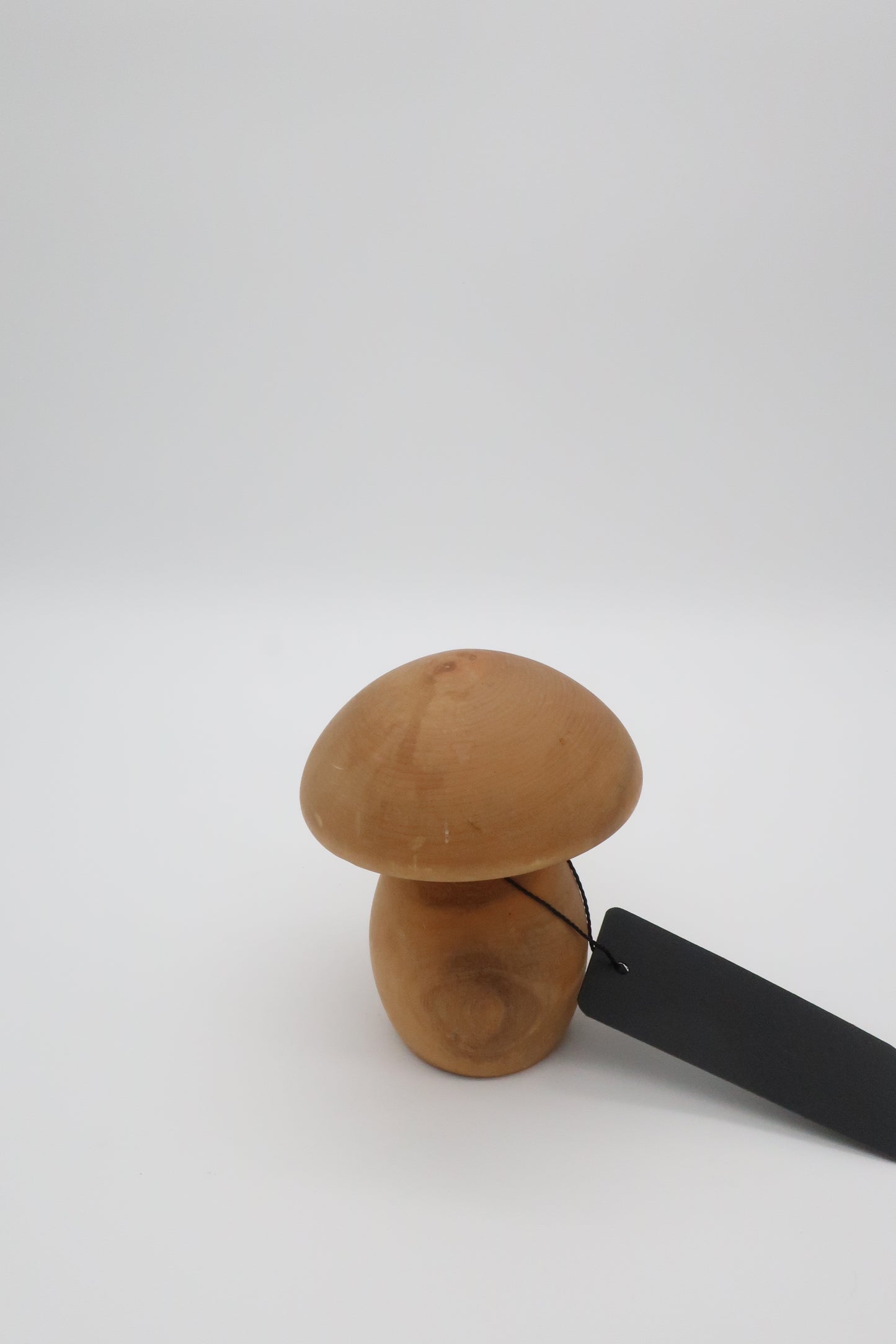 Wooden Mushroom