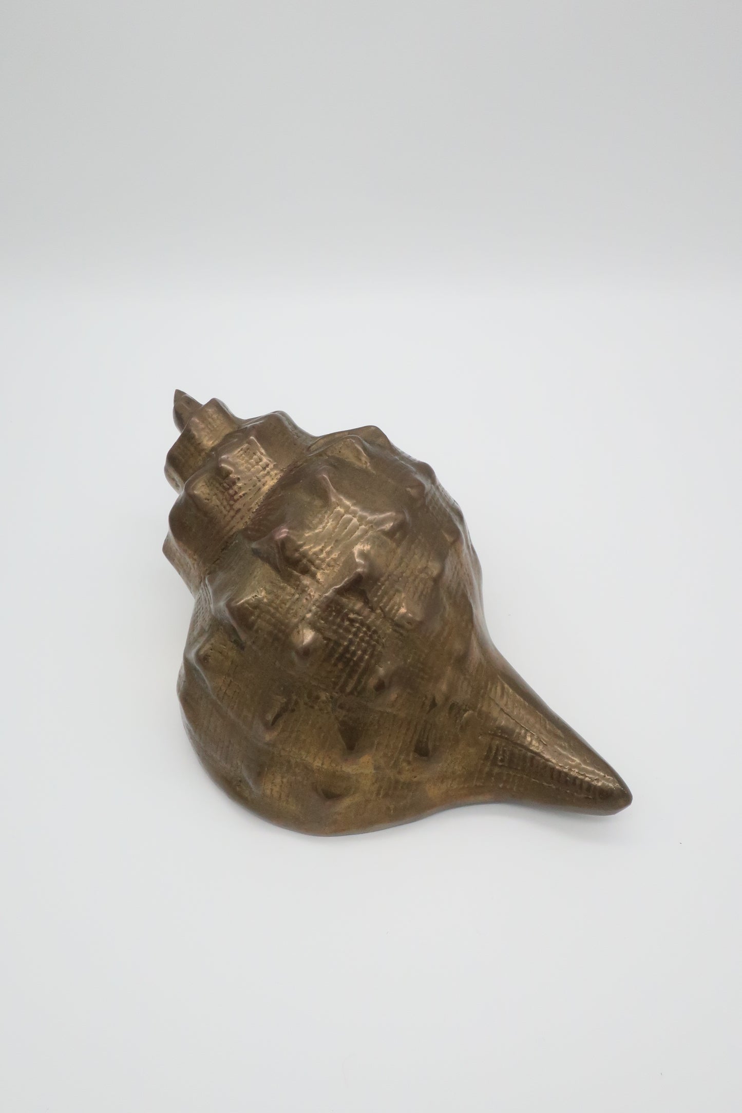 Jack Housman Brass Conch She’ll