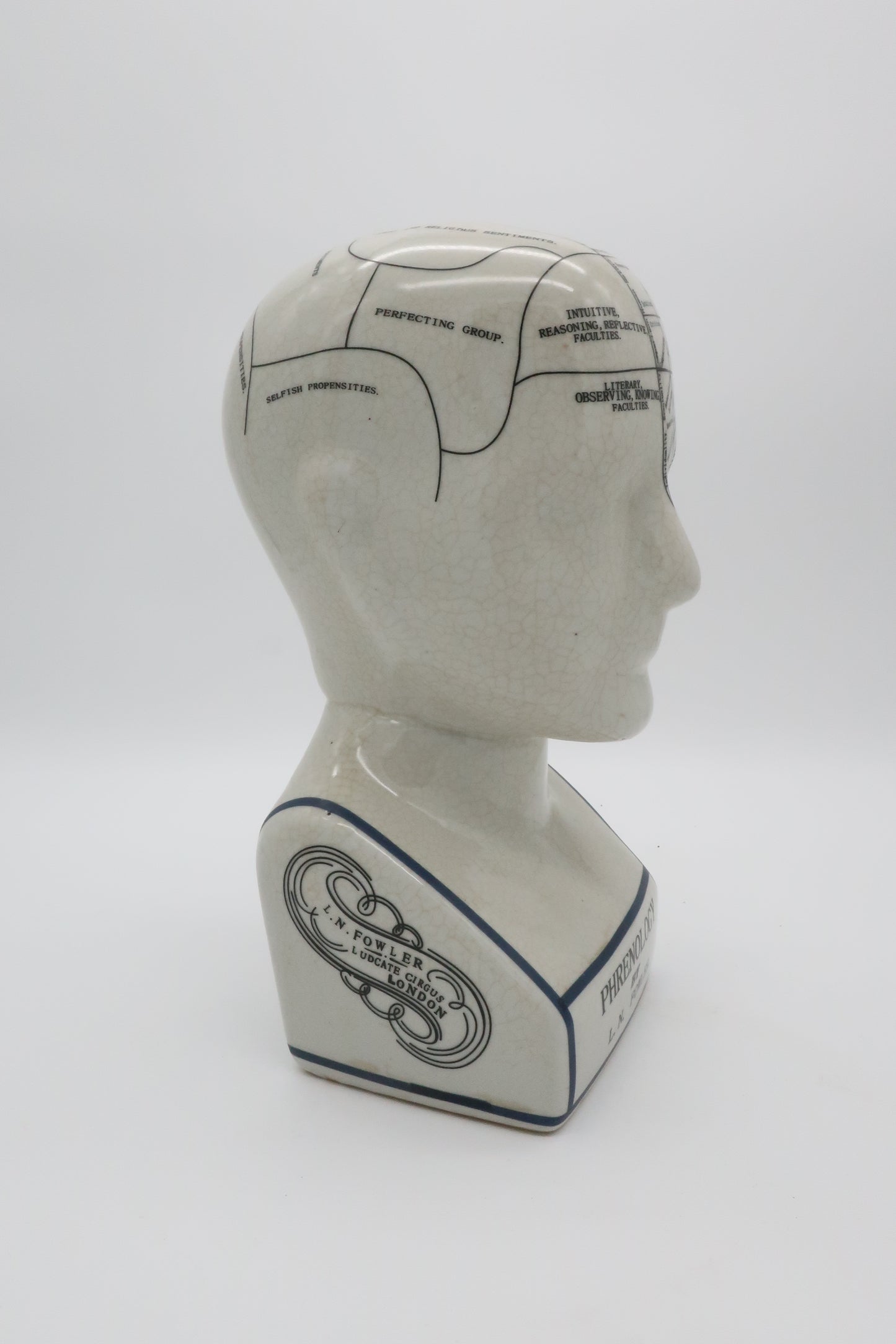 Phrenology L.N. Fowler Head Bust