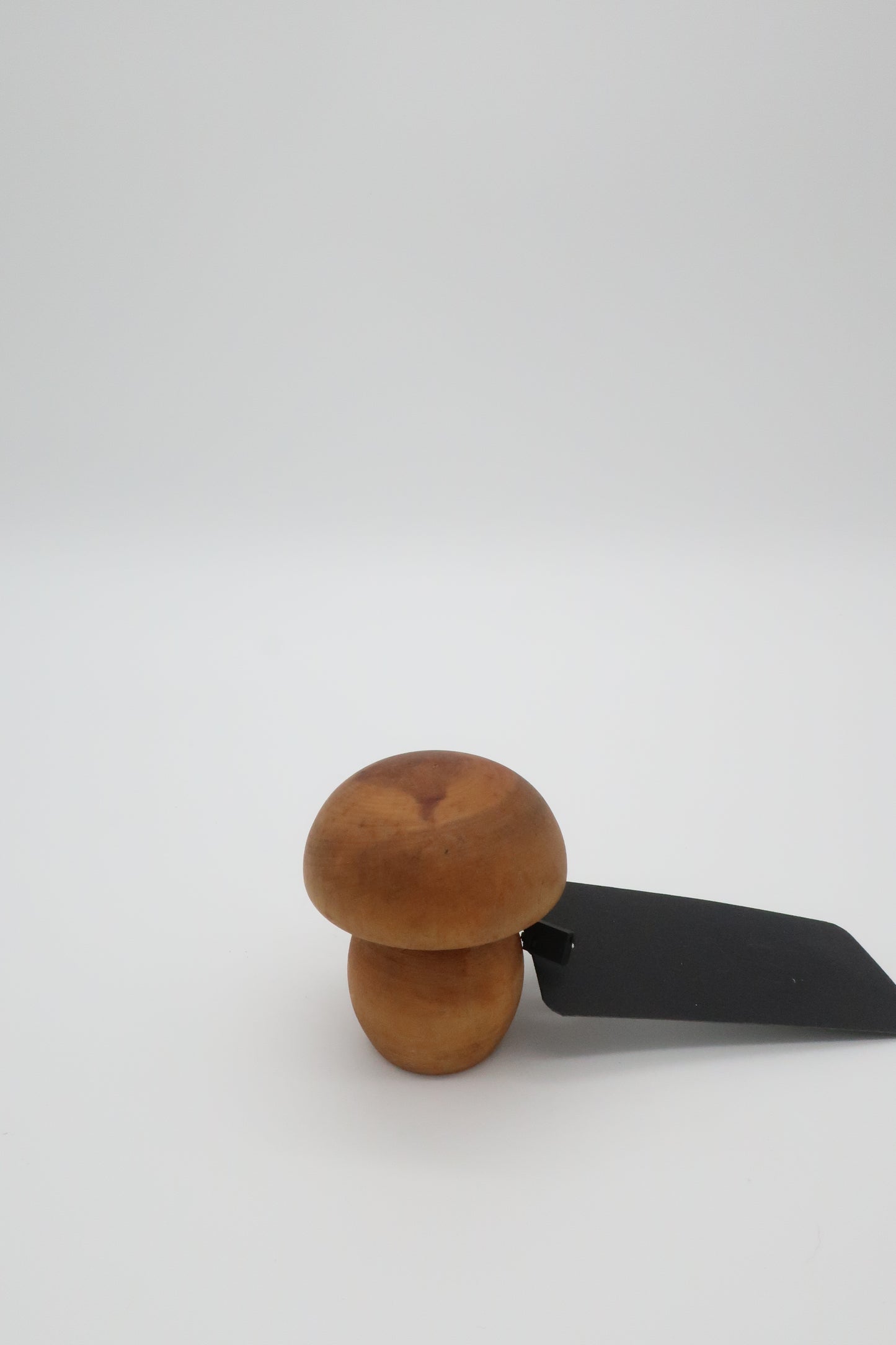 Wooden Mushroom