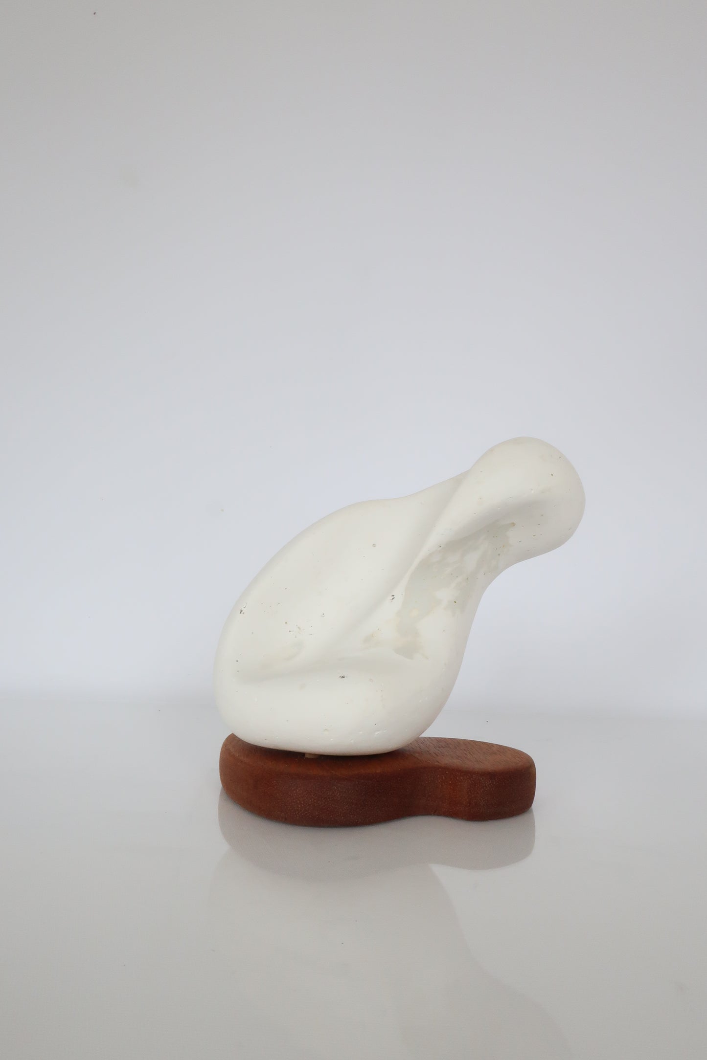 Biomorphic Stone & Wood Sculpture