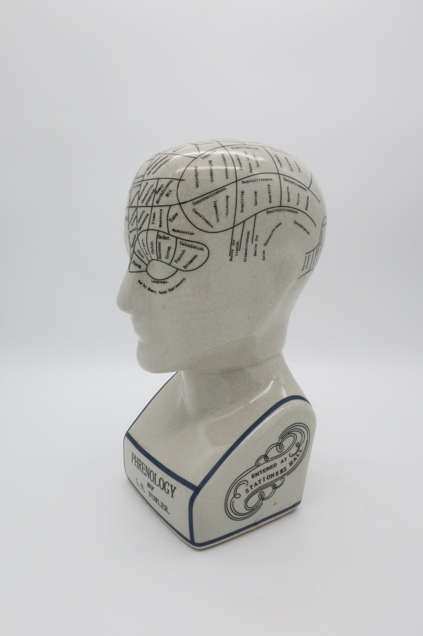 Phrenology L.N. Fowler Head Bust