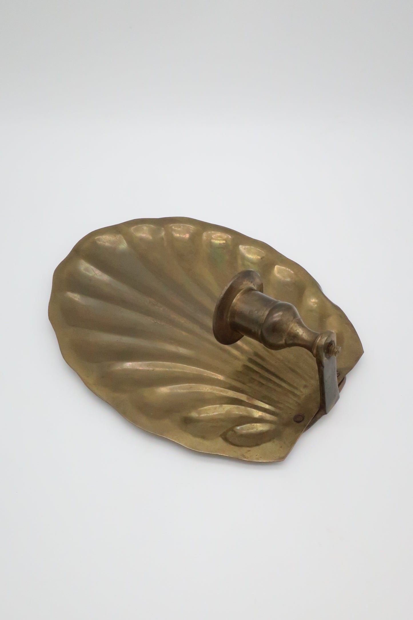 Brass Shell Wall Sconce
