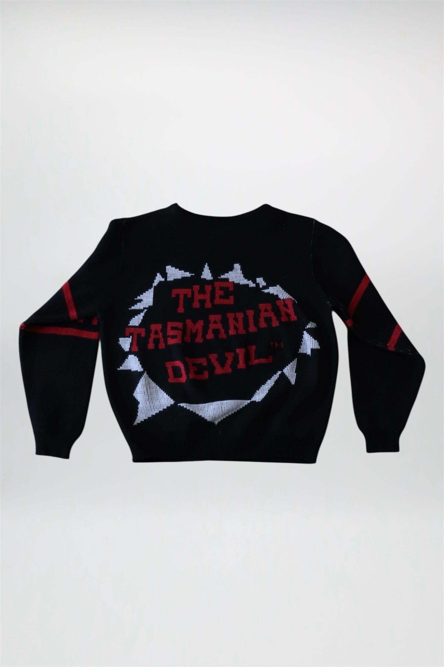 90’s Taz Sweater