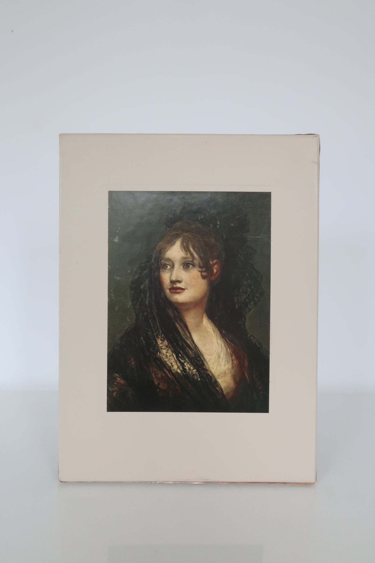 Goya Art Book