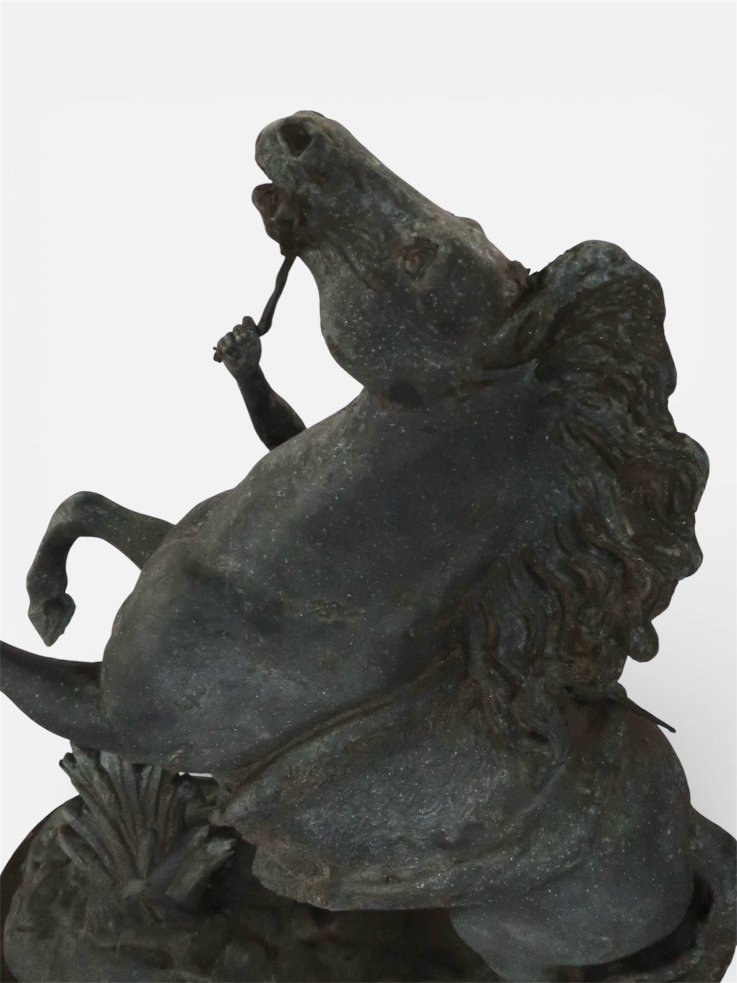 Antique Sculptured Marley Horse After Coustou