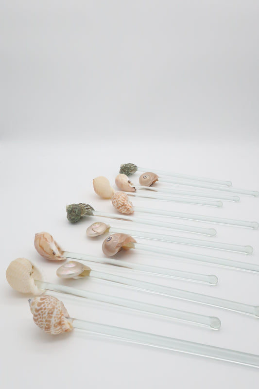Shell Tipped Stir Sticks