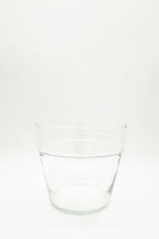 Clear Glass Planter Pot