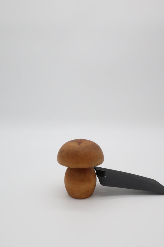 Wooden Mushroom