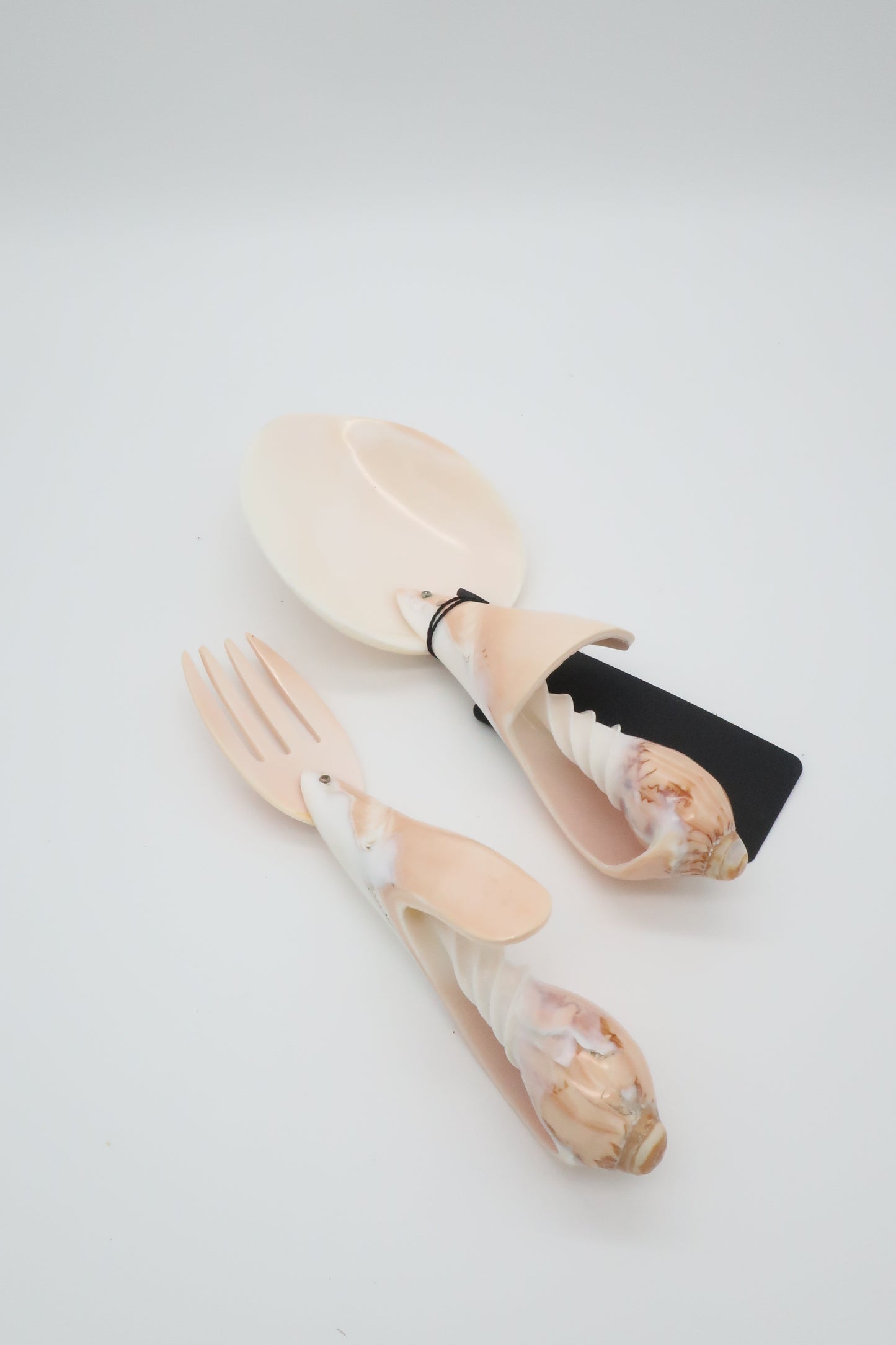 Conch Shell Serving Set