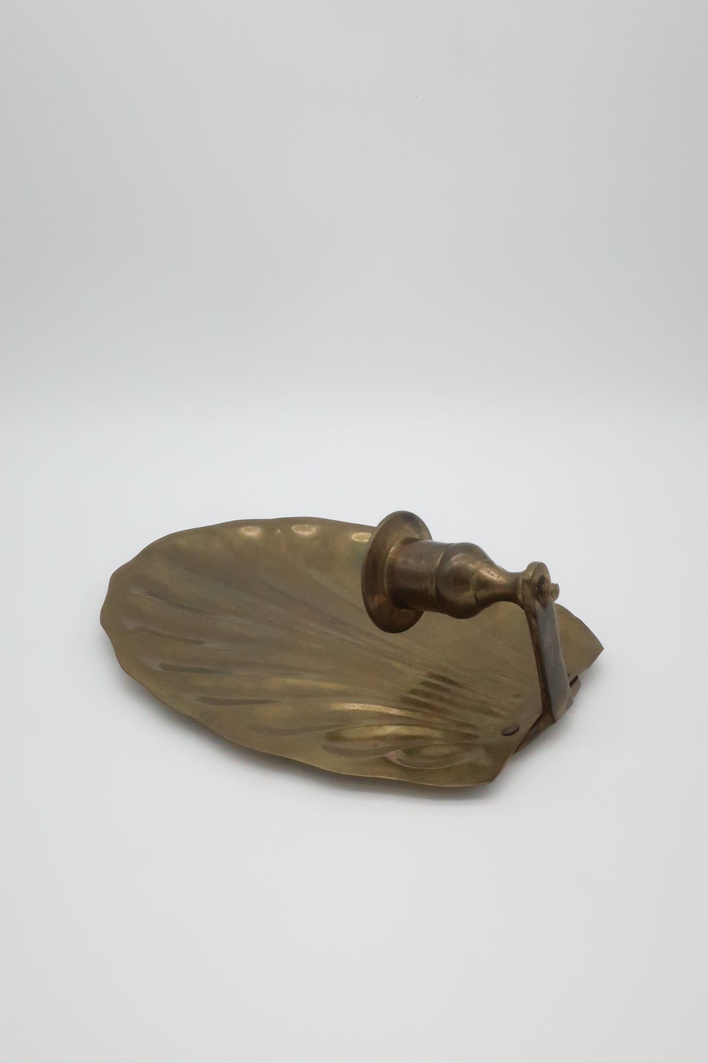 Brass Shell Wall Sconce