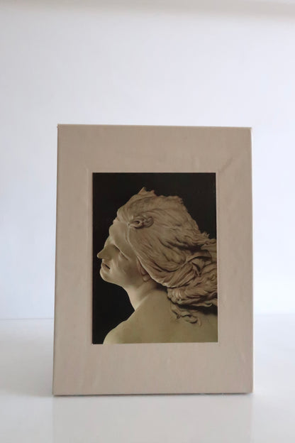 The World Of Bernini Art Book