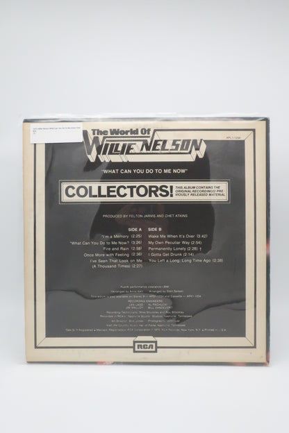 1975 Willie Nelson what can you do to me now vinyl