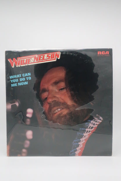 1975 Willie Nelson what can you do to me now vinyl