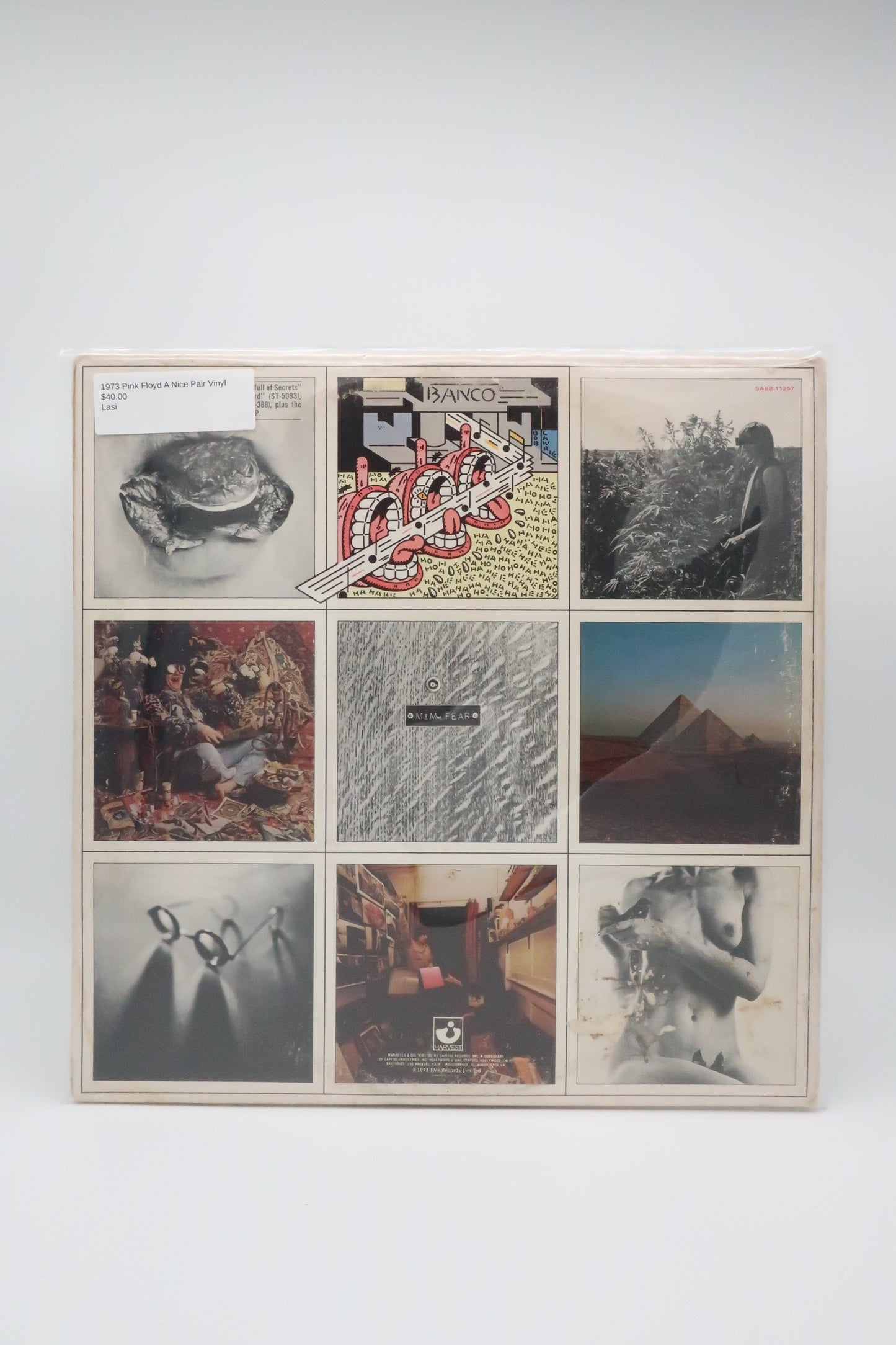 1973 Pink Floyd A Nice Pair Vinyl