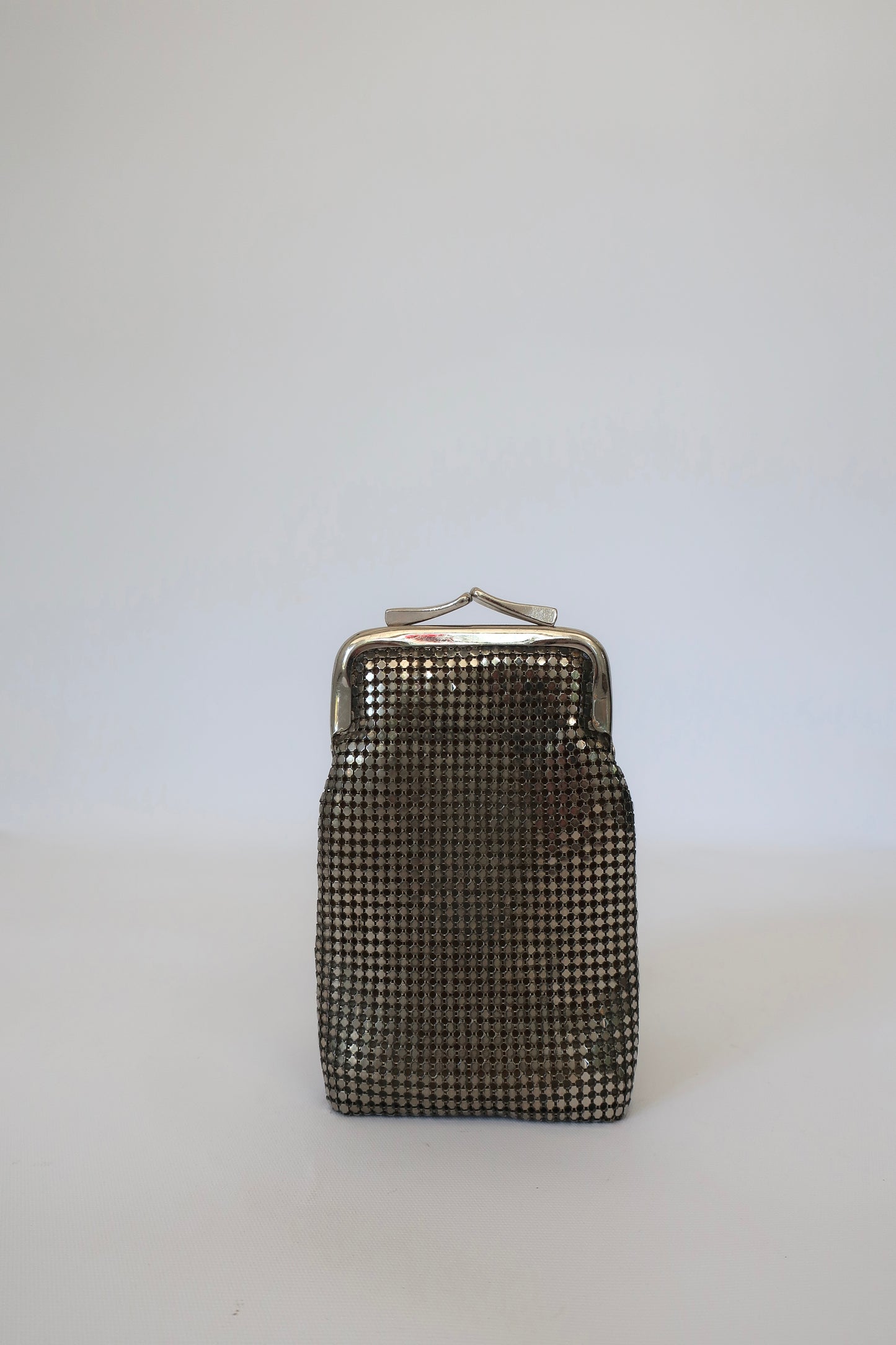 Silver Mesh Bag