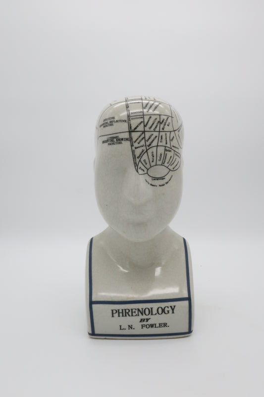 Phrenology L.N. Fowler Head Bust