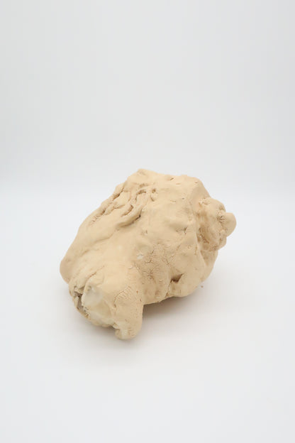 Mid Century French Sculpted Head