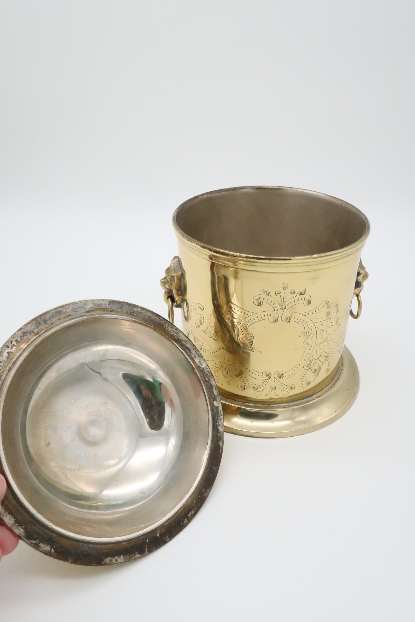 Etched Brass Lion Tea Caddy