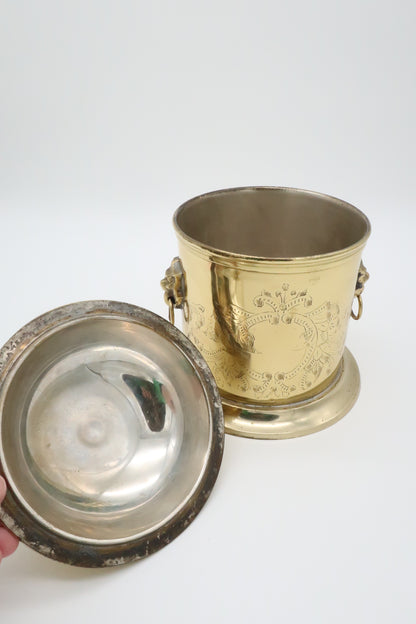 Etched Brass Lion Tea Caddy