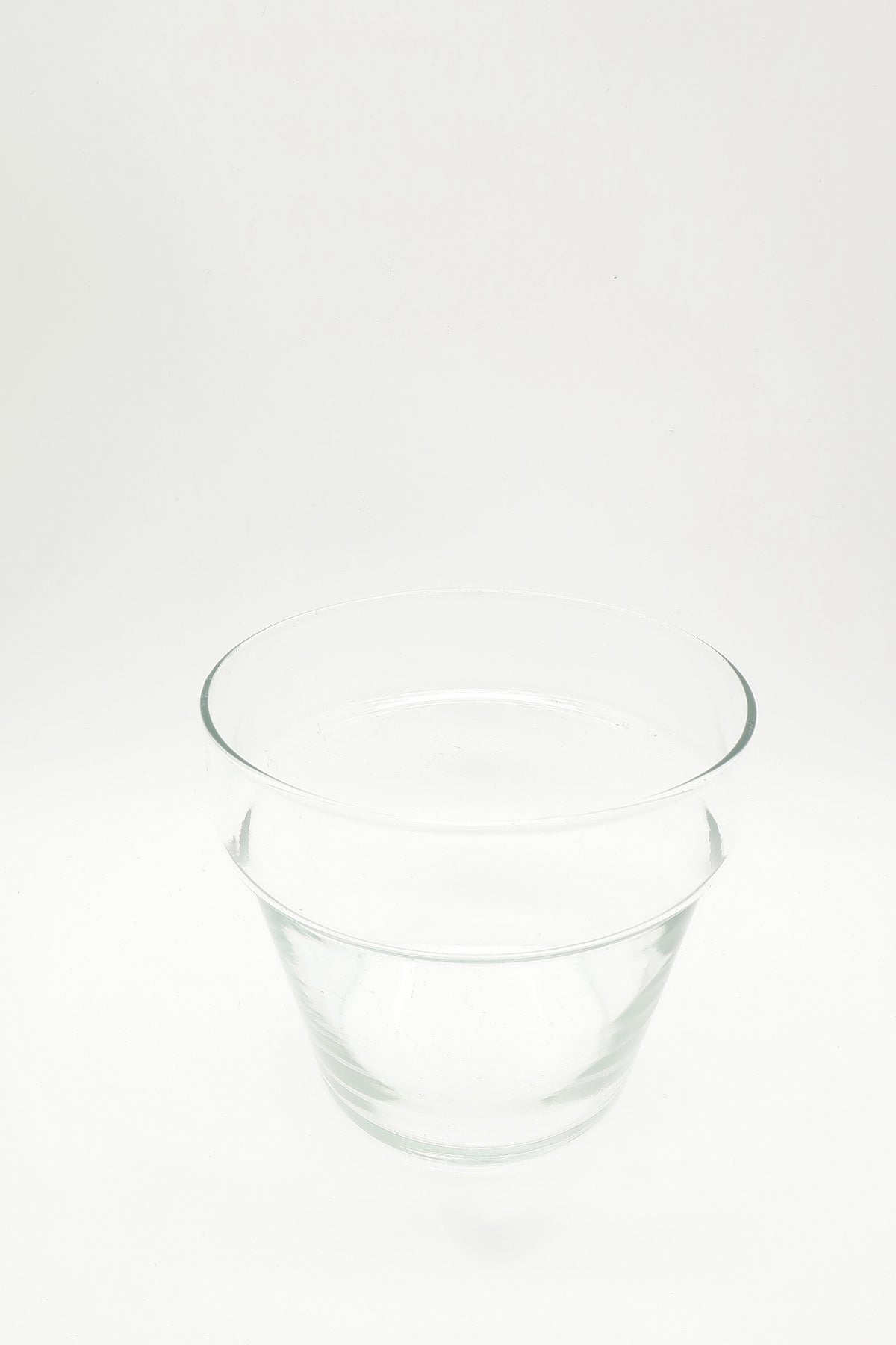 Clear Glass Planter Pot