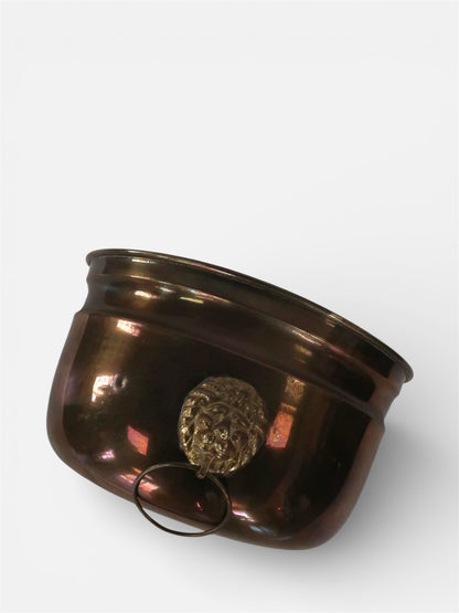 Brass Lion Wall Planter