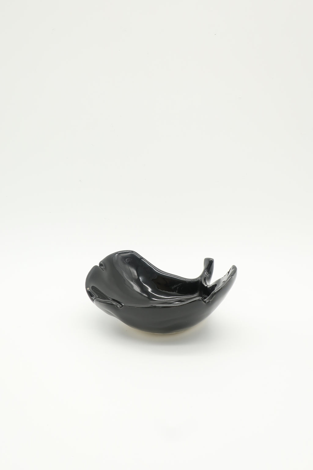 Ginkgo Black Ceramic Catch-all