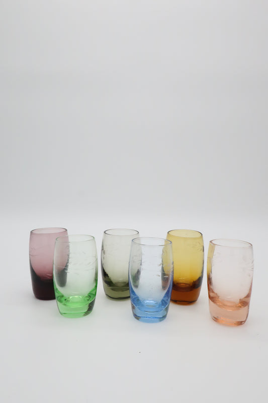 Multi Colored Shotglasses