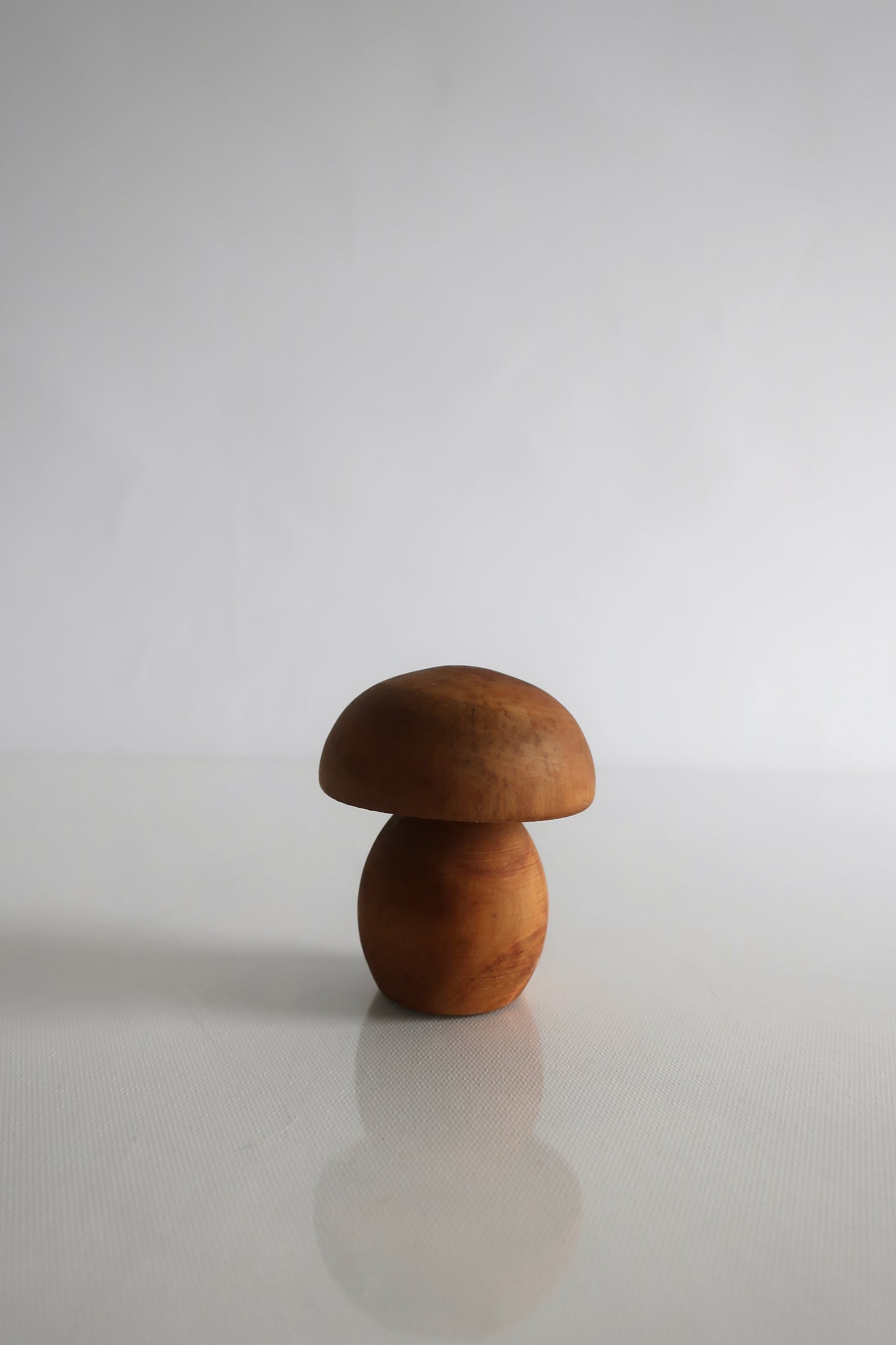 Wooden Mushroom