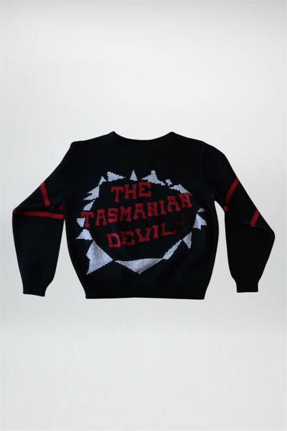 90’s Taz Sweater