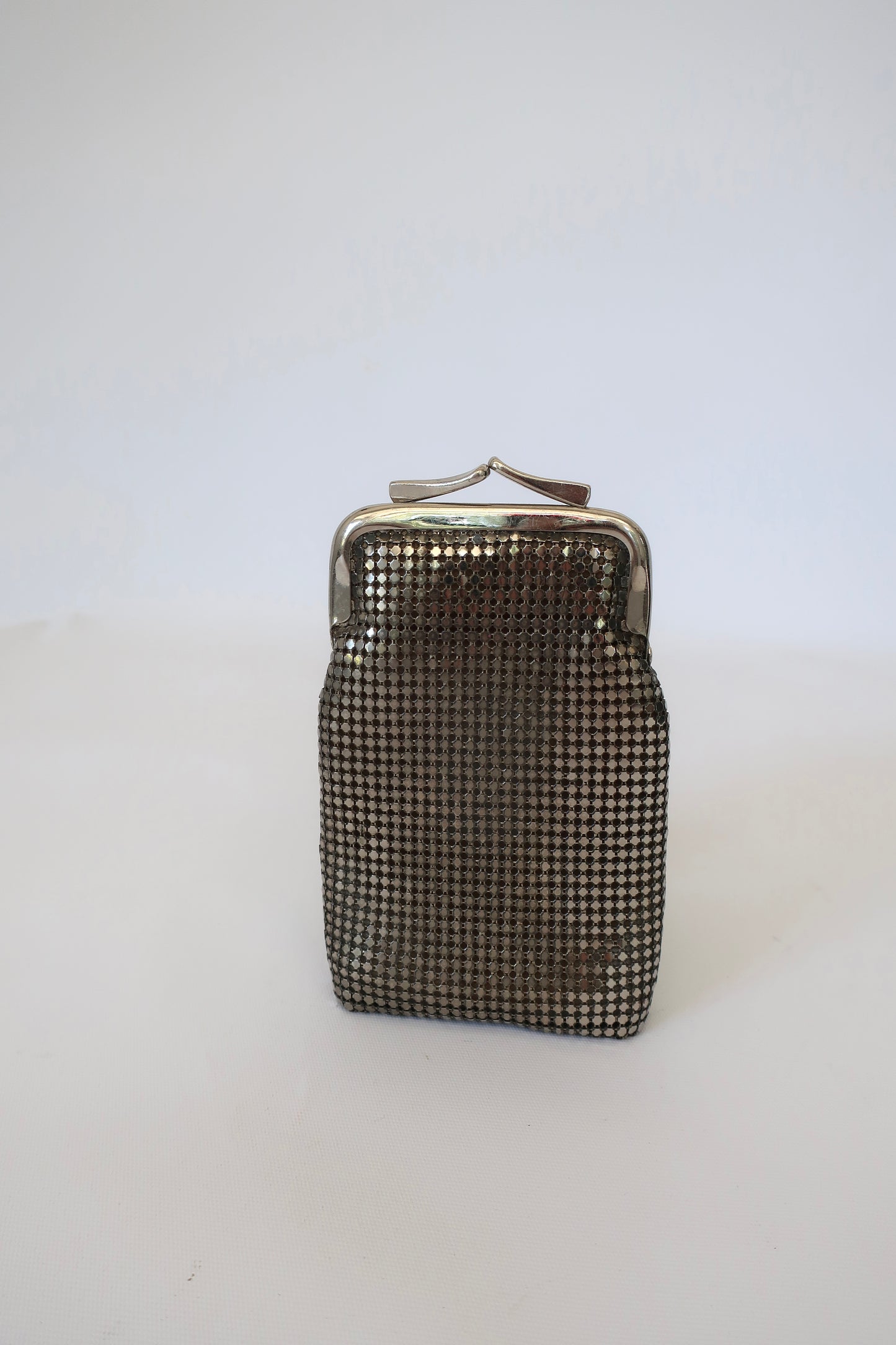 Silver Mesh Bag