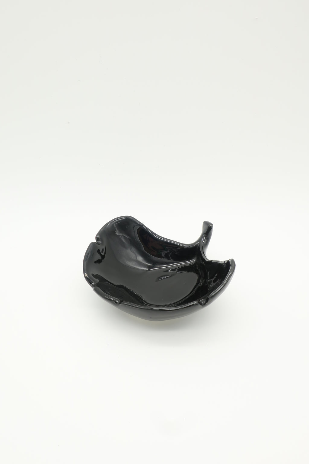 Ginkgo Black Ceramic Catch-all