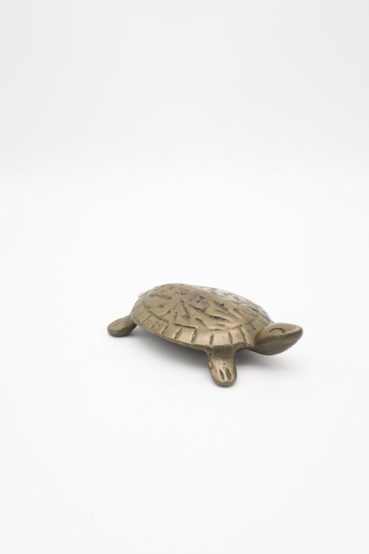 Brass Turtle